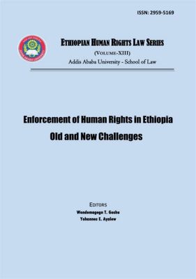  Beyond the Law: Legal Ethics and Human Rights in Ethiopia - A Tapestry of Justice Woven with Threads of Compassion