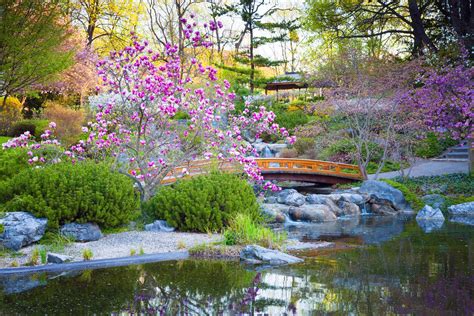  Zen Aesthetics: The Art of Japanese Gardens - A Whisper of Tranquility Through Stone and Sand